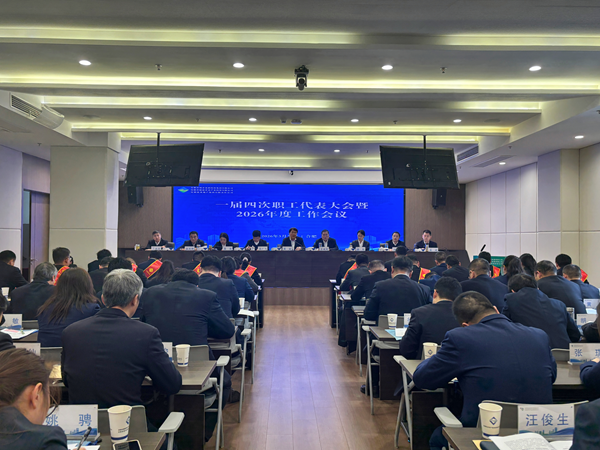 谈球吧体育集团等三家公司召开一届四次职工代表大会暨2026年度工作会议